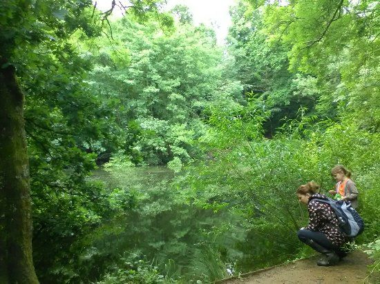 CS Lewis Community Nature Reserve